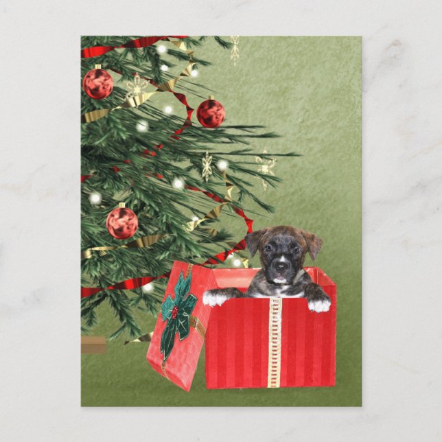Welpen Weihnachten (Vorderseite)