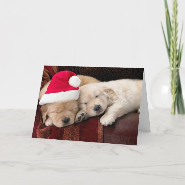 Welpen-Weihnachten Feiertagskarte (Vorderseite)