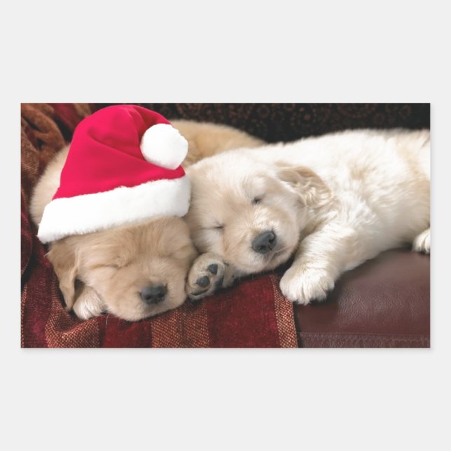 Welpen Weihnachten Rechteckiger Aufkleber (Vorderseite)
