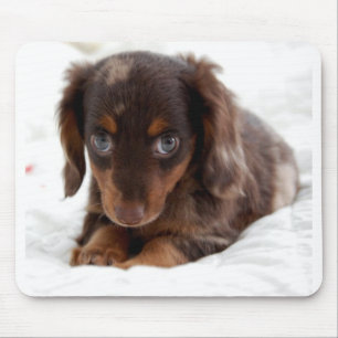 Welpenaugen Mousepad