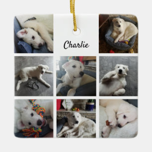 Welpenfotokopie Niedlicher Hund Keramikornament
