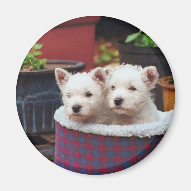 Welpenfreunde Magnet (Vorne)