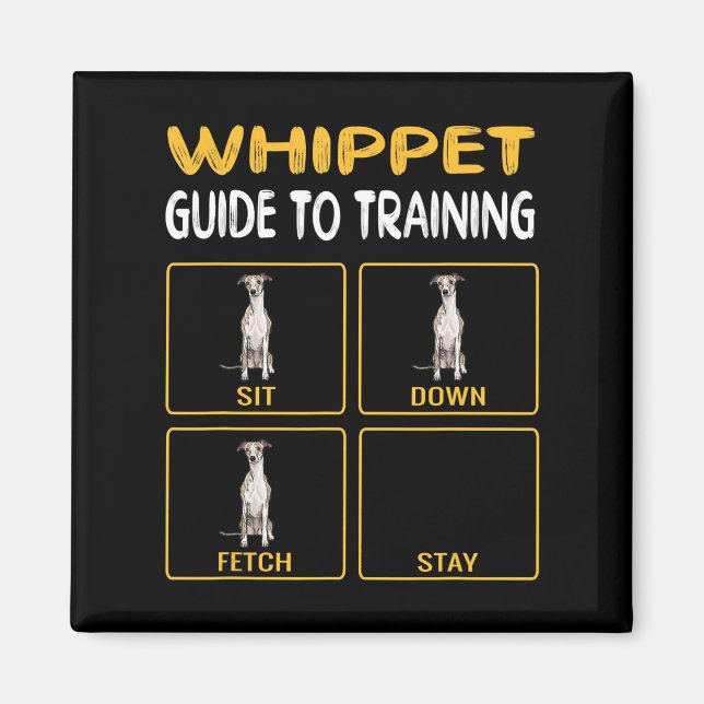 Welpenführer für das Training von Gehorsam bei Hun Magnet (Vorne)