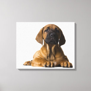 Welpenhund 2 leinwanddruck