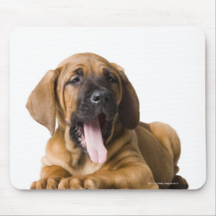 Welpenhund 2 mousepad