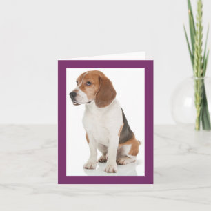 Welpenhund Beagle Lila Leere Notizkarte Karte