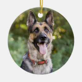 Welpenhund Keramik Ornament