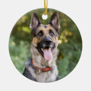 Welpenhund Keramik Ornament