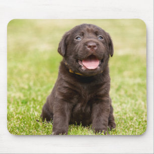 Welpenhund Mousepad