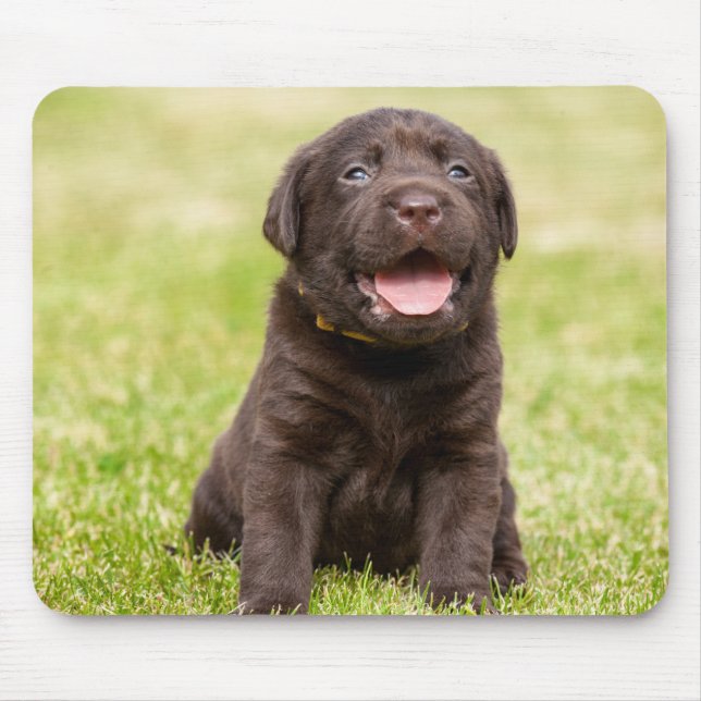 Welpenhund Mousepad (Vorne)