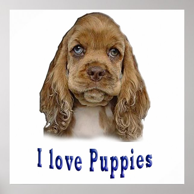 Welpenhund Poster (Vorne)