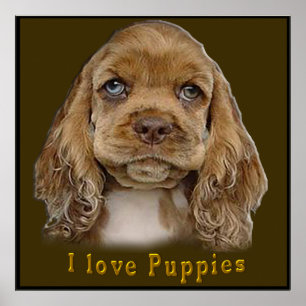 Welpenhund Poster