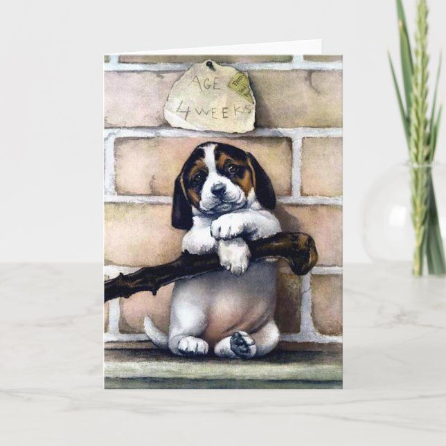 Welpenhund zum Verkauf niedliche Vintage Abbildung Karte (Vorderseite)