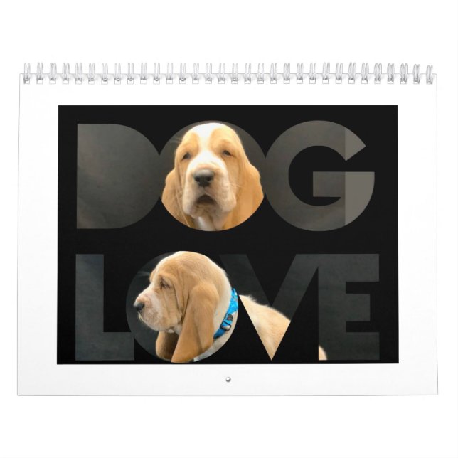 Welpenkalender Kalender (Titelbild)