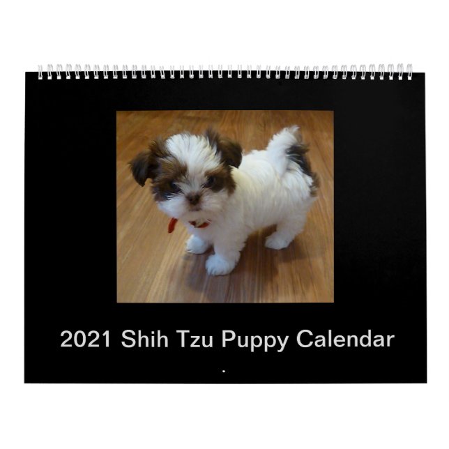 Welpenkalender Kalender (Titelbild)