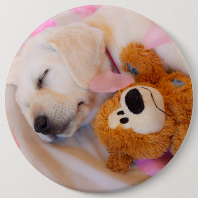 Welpenkuddles 02 button (Vorderseite)