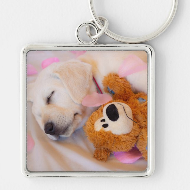 Welpenkuddles 02 schlüsselanhänger (Vorne)