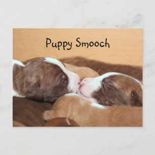 Welpenkuss Postkarte