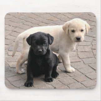 Welpenmousepad Mousepad
