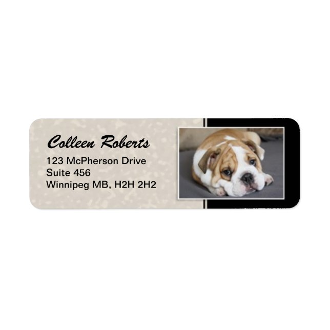 Welpenportrait - Stil 2 (Vorne)