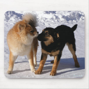 Welpenspiel Mousepad