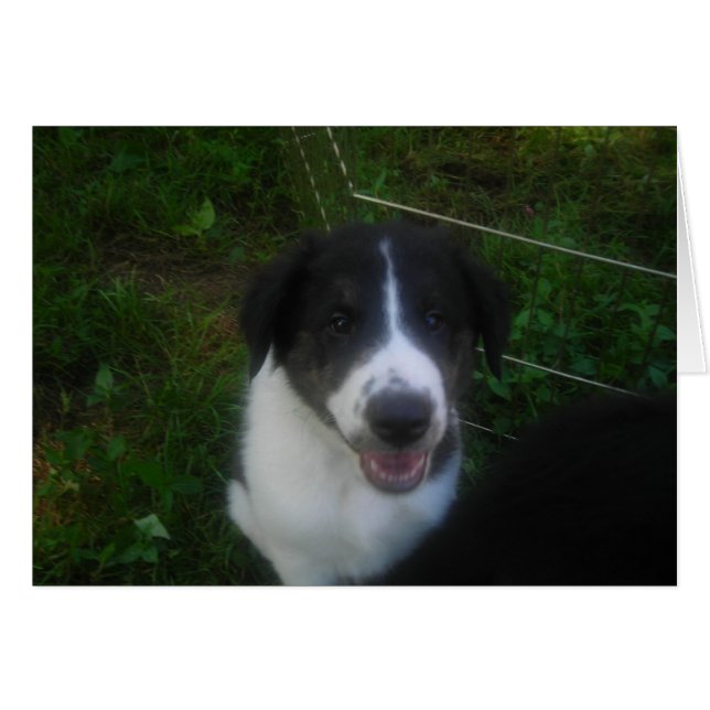 Welpensprechkarte *anpassen* (Vorderseite (Horizontal))