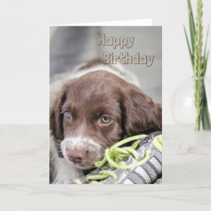 Welppy Birthday Card Karte