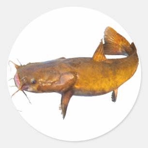 Wels-Fischen Runder Aufkleber