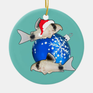 Welsche Corydoras Weihnachtsaquarium Fische Keramik Ornament