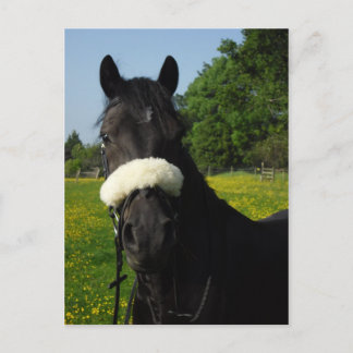 Welsh Abschnitt D Postkarte