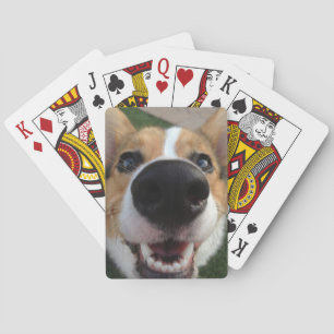 Welsh Corgi Dog Nose Collection Spielkarten