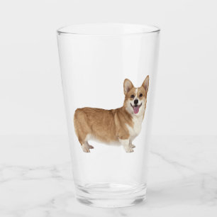 Welsh Corgi Hund Tierglas Glas
