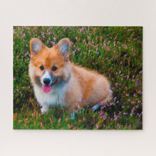 Welsh Corgi Hunde Jigsaws.