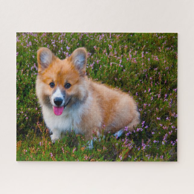 Welsh Corgi Hunde Jigsaws. (Horizontal)