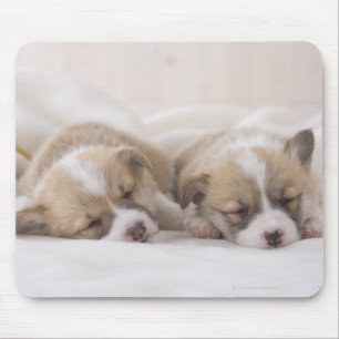 Welsh Corgi Welppies Mousepad