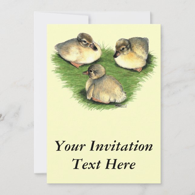 Welsh Harlequin Ducklings Einladung (Vorderseite)