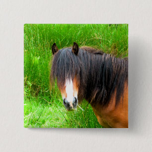 WELSH MOUNTAIN PONY BUTTON