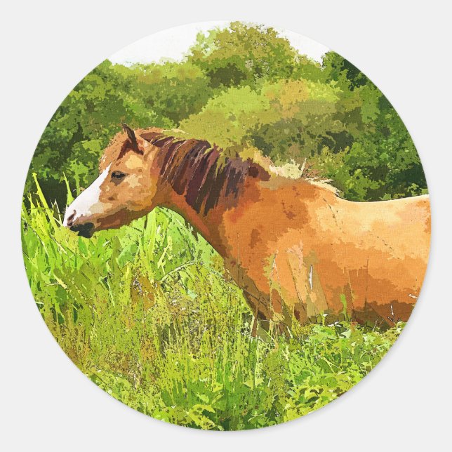 WELSH MOUNTAIN PONY RUNDER AUFKLEBER (Vorderseite)