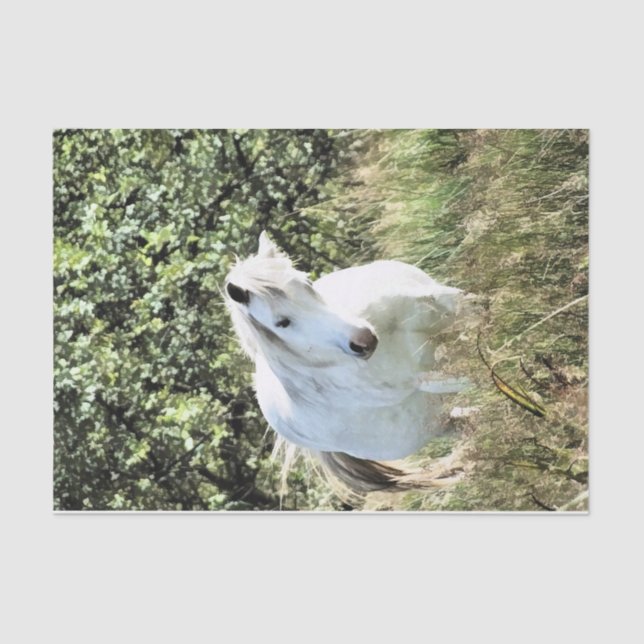 WELSH MOUNTAIN PONY SEIDENPAPIER (Vorderseite)