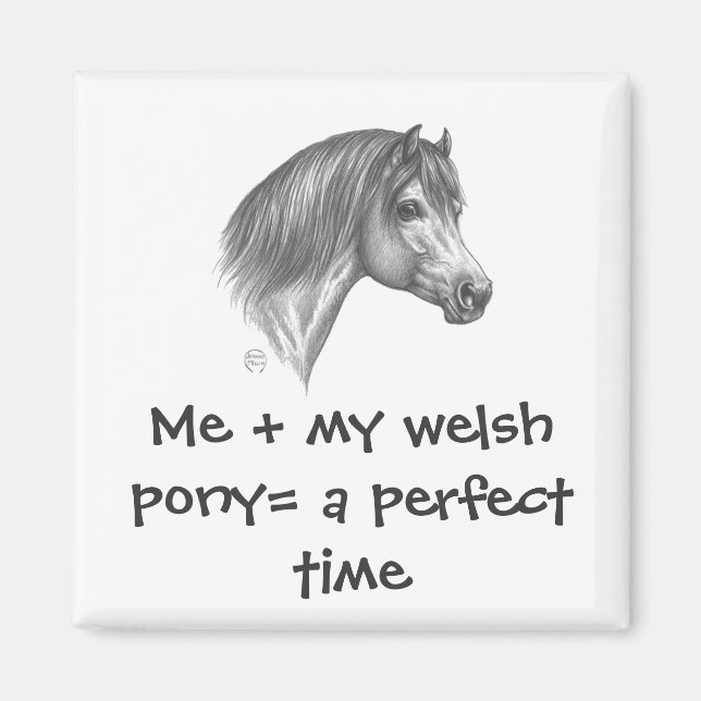Welsh Pony & Cob Society of America Magnet (Vorne)