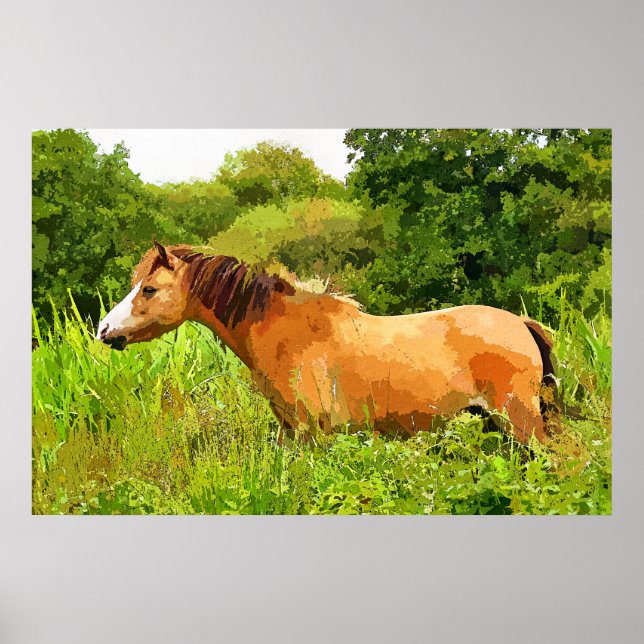 WELSH PONY POSTER (Vorne)
