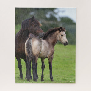 Welsh Section D Mare and Foal Stehend