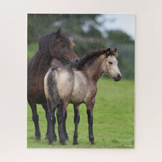 Welsh Section D Mare and Foal Stehend (Vertikal)