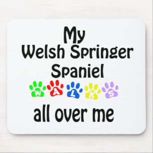 Welsh Springer Spanel Walks Design Mousepad