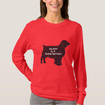 Welsh Springer SPANIEL BESTE FREUNDIN