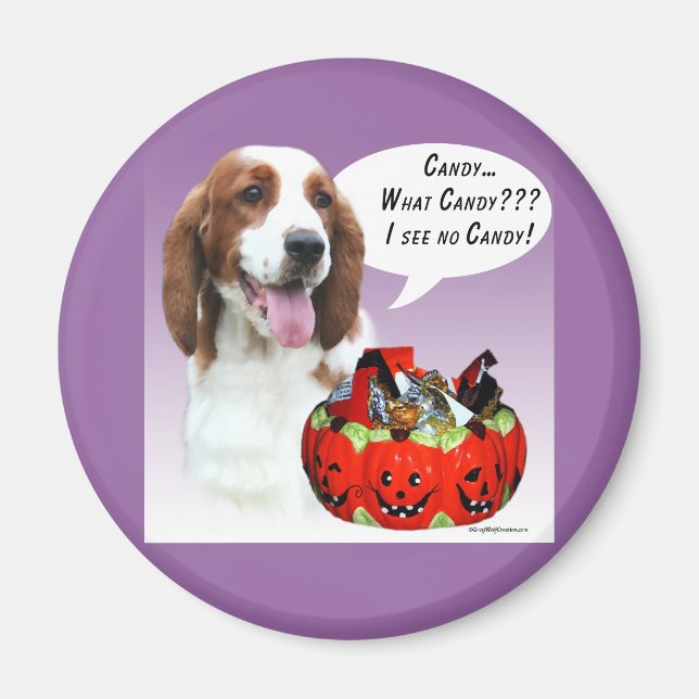 Welsh Springer Spaniel Halloween Candy Magnet (Vorne)