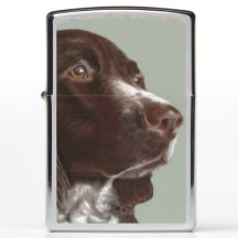 Welsh Springer Spaniel Hund Zippo Feuerzeug