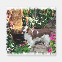 Welsh Springer Spaniel Kunstgeschenke Magnet