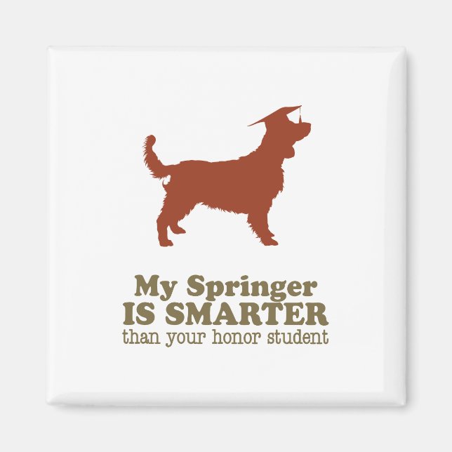 Welsh Springer Spaniel Magnet (Vorne)