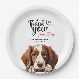 Welsh Springer Spaniel Pappteller